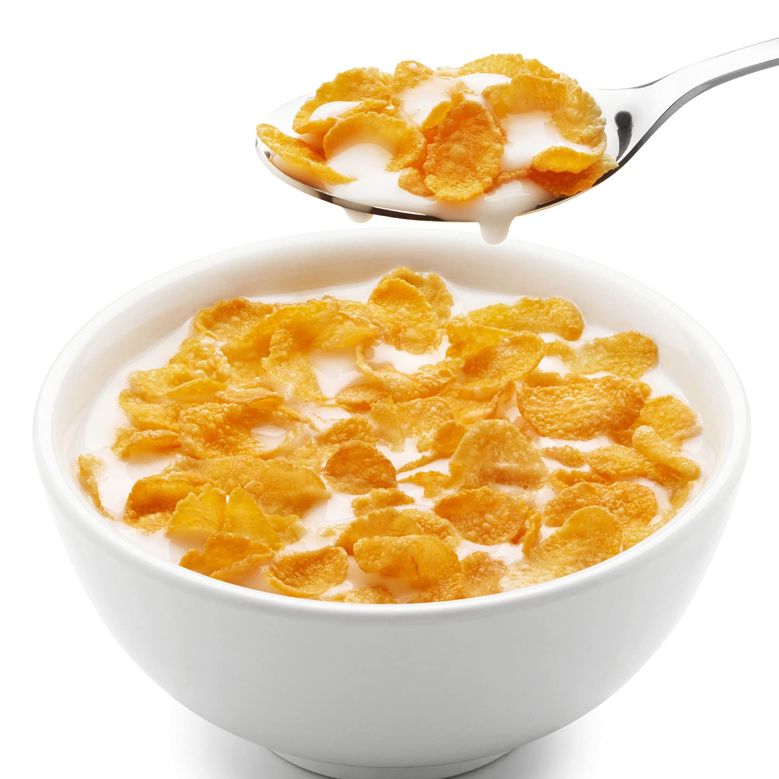 12 Pieces Kids Fork and Spoon Silverware Set Stainless Steel Utensils Flatware Round Handle Utensils Kids Silverware Cutlery Set